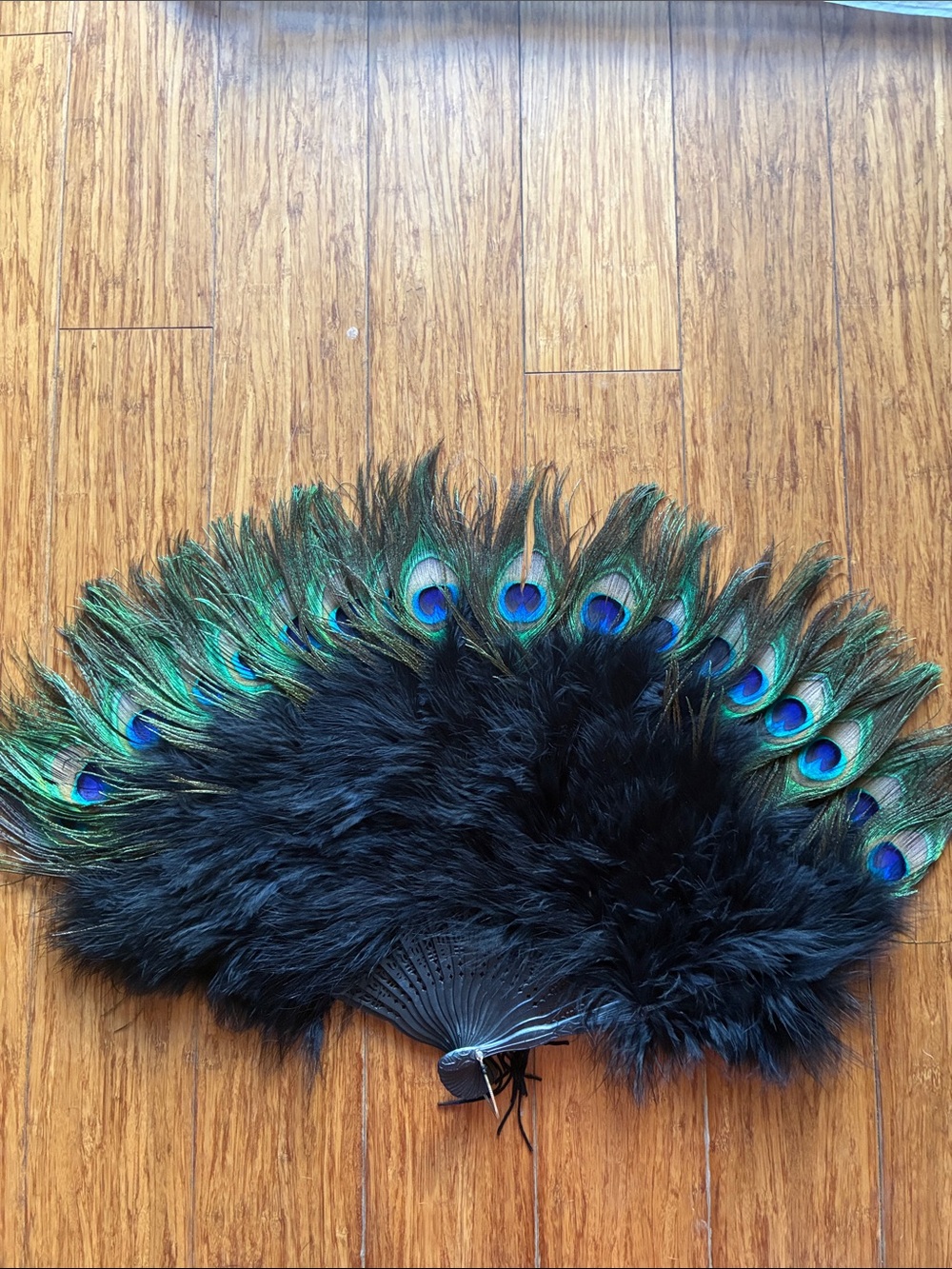 Peacock Feather Decorative Fan - Black and Green